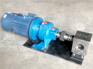 泊頭海濤泵業(yè)熱溶膠泵-口罩機(jī)熔噴泵