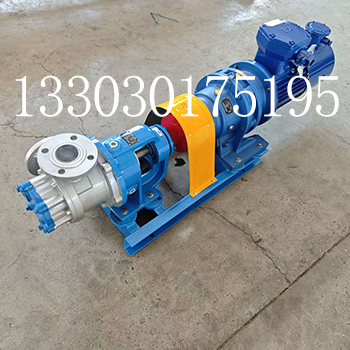 NYP10高粘度轉(zhuǎn)子泵