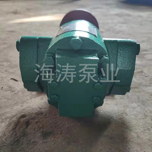 外潤滑齒輪泵WKCB55/0.33尾部剖析圖